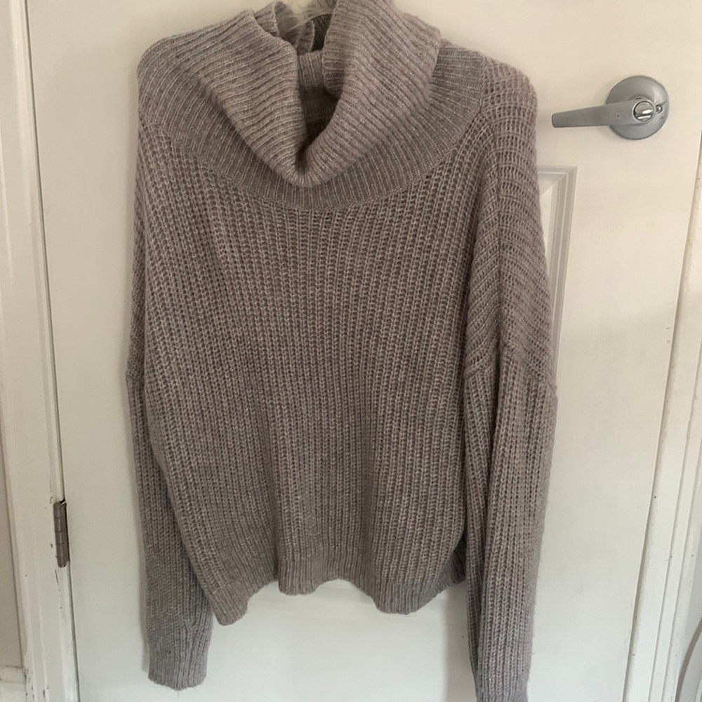 Express turtle next sweater nwt